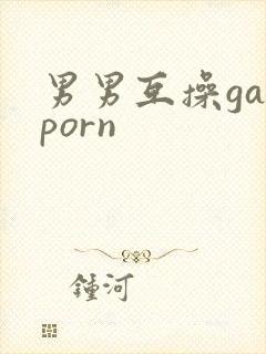 男男互操gayporn