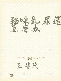 猫咪乱尿还尿血怎么办封面