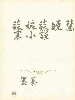 苏婉苏晓慧霍枭寒小说