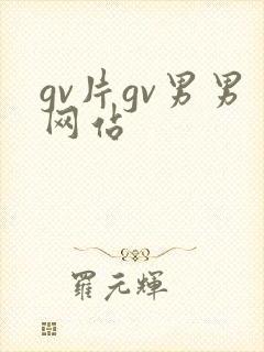gv片gv男男网站