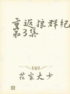 重返狼群纪录片第3集