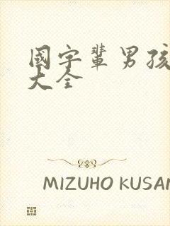 国字辈男孩取名大全