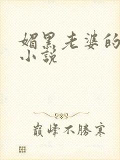 媚黑老婆的绿奴小说封面