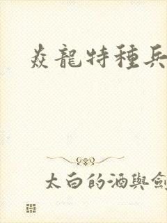 焱龙特种兵部队