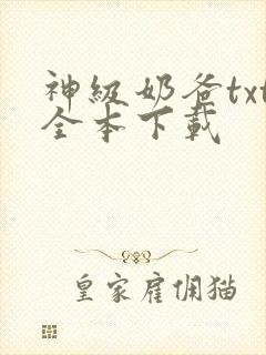 神级奶爸txt全本下载