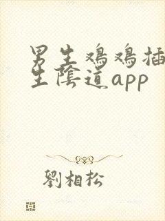男生鸡鸡插入女生阴道app封面