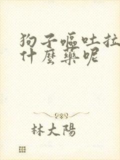 狗子呕吐拉稀吃什么药呢