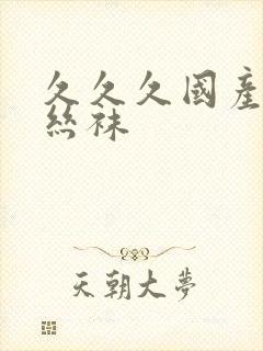 久久久国产精品丝袜