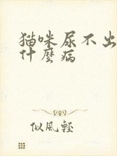 猫咪尿不出尿是什么病