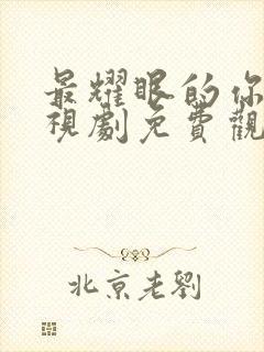 最耀眼的你啊电视剧免费观看