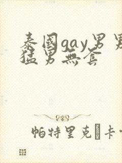 泰国gay男男猛男无套