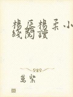 杨辰杨柔小说在线阅读封面