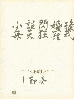 小说闪婚后大叔每天狂宠我全文阅读