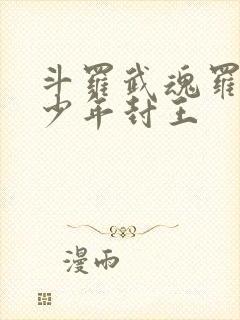 斗罗武魂罗三炮少年封王