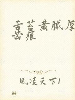 舌苔黄腻厚白有齿痕