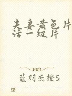 夫妻黄色片性生活一级片