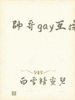 帅哥gay互操