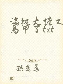 满级大佬又被拆马甲了txt