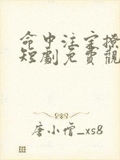 命中注定撩上你短剧免费观看