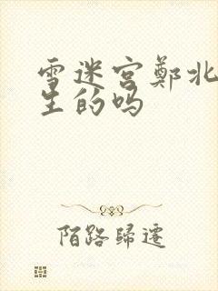 雪迷宫郑北是亲生的吗