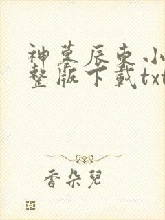 神墓辰东小说完整版下载txt