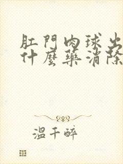 肛门肉球出血用什么药消除