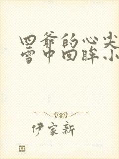 四爷的心尖宠妃雪中回眸小说免费完本