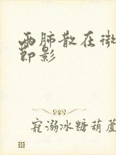 两肺散在微小结节影