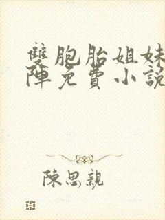 双胞胎姐妹齐上阵免费小说