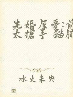 先婚厚爱:前妻太抢手 猫腻君