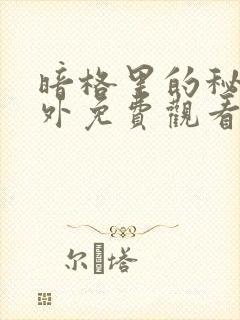 暗格里的秘密番外免费观看电视剧