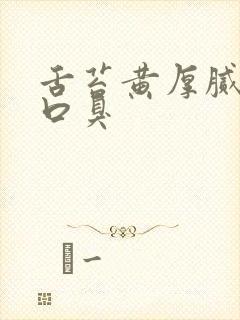 舌苔黄厚腻口苦口臭