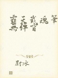 霸天武魂笔趣阁无弹窗