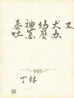 泰迪幼犬又拉又吐怎么办封面