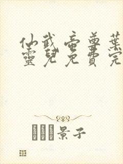 仙武帝尊叶辰楚灵儿免费完本