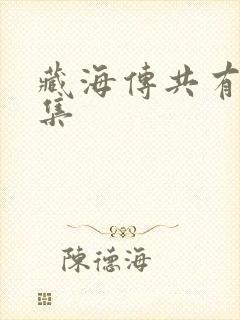 藏海传共有多少集