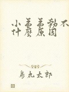 小弟弟勃不起是什么原因