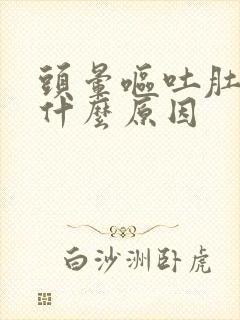 头晕呕吐肚子痛什么原因