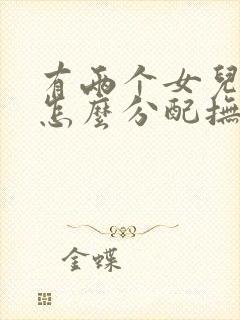 有两个女儿离婚怎么分配抚养权