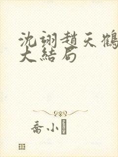 沈翊赵天鹤结局大结局