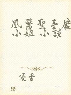 凰医圣手废材九小姐 小说封面