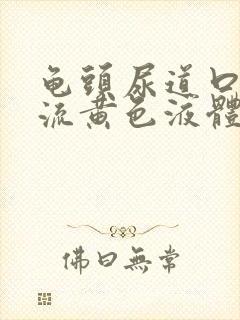 龟头尿道口一直流黄色液体怎么回事