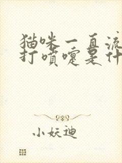 猫咪一直流鼻涕打喷嚏是什么原因封面