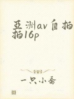亚洲av自拍偷拍16p