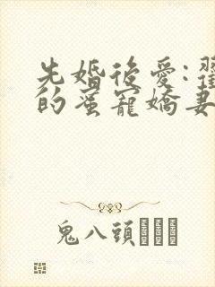 先婚后爱:翟少的蜜宠娇妻