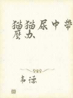 猫猫尿中带血怎么办