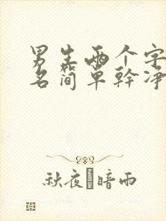 男生两个字的网名简单干净