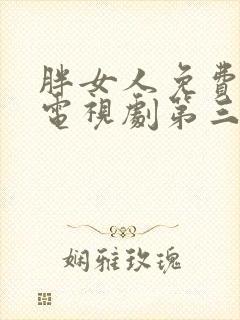 胖女人免费高清电视剧第三季