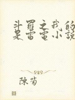 斗罗之我的武魂是雷电小说