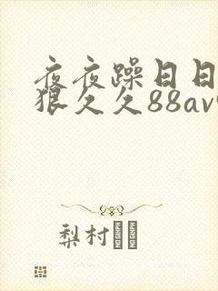 夜夜躁日日躁狠狠久久88av91